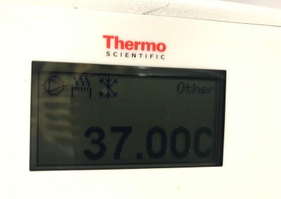 Refroidisseur Thermo AC150 - P20040534