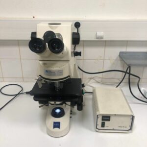 Microscope à Immersion Axioskop 40 CARL ZEISS
