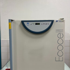Etuve MMM ECOCELL LSIS-B2V / EC55